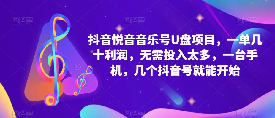 抖音音乐号U盘项目 一单几十利润 无需投入太多 一台手机 几个抖音号就开始-颜夕资源网-第11张图片