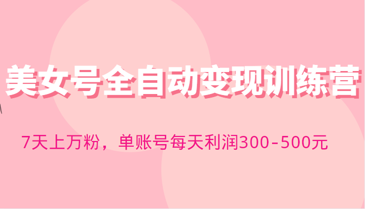快手美女号全自动变现训练营，7天上万粉，单账号每天利润300-500元-颜夕资源网-第16张图片