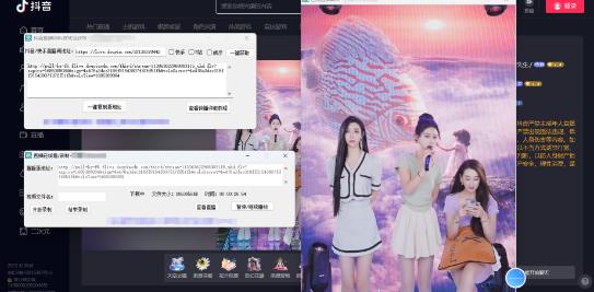 新电脑版抖音/快手/B站直播源获取+直播间实时录制+直播转播【软件+教程】-颜夕资源网-第11张图片