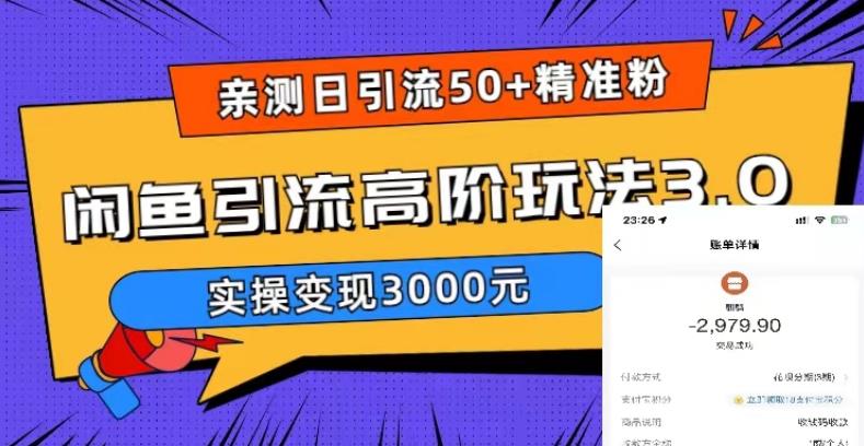 日引50+精准粉，闲鱼引流高阶玩法3.0，实操变现3000元-颜夕资源网-第16张图片