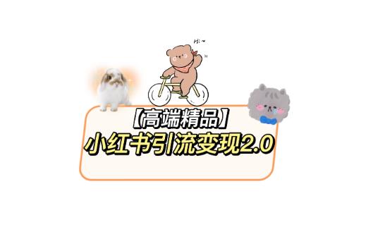 小红书最新引流变现2.0教程，全网最新最详细的视频教程+素材-颜夕资源网-第16张图片