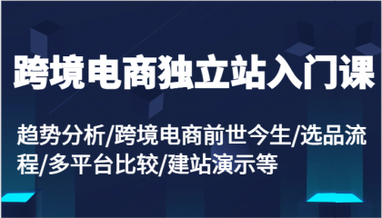 跨境电商独立站入门课：趋势分析/跨境电商前世今生/选品流程/多平台比较/建站演示等-颜夕资源网-第18张图片