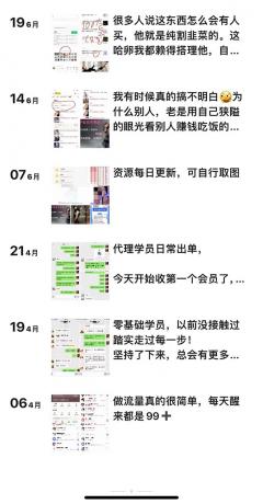 写真套图项目：抄作业可以获利的项目。招代理，招会员，无限裂变变现-颜夕资源网-第19张图片