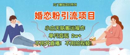 小红书婚恋粉引流，不用开直播！不用拍视频！不用做交付-颜夕资源网-第18张图片