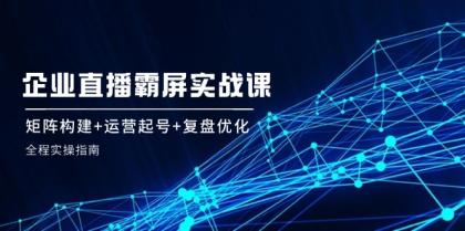 企业直播霸屏实战课：矩阵构建+运营起号+复盘优化，全程实操指南-颜夕资源网-第18张图片
