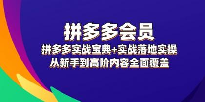 拼多多会员实战宝典+实战落地实操，从新手到高阶内容全面覆盖-颜夕资源网-第18张图片