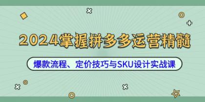 2024掌握拼多多运营精髓：爆款流程、定价技巧与SKU设计实战课-颜夕资源网-第18张图片