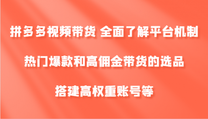 拼多多视频带货 全面了解平台机制、热门爆款和高佣金带货的选品，搭建高权重账号等-颜夕资源网-第18张图片