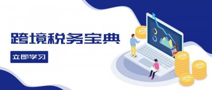 跨境税务宝典教程：跨境电商全球税务处理策略-颜夕资源网-第18张图片