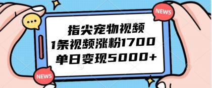 指尖宠物视频，1条视频涨粉1700，单日变现5000+-颜夕资源网-第18张图片