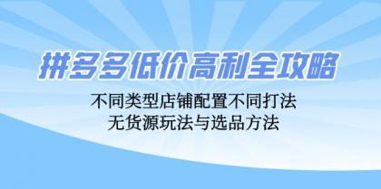 拼多多低价高利全攻略：不同类型店铺配置不同打法，无货源玩法与选品方法-颜夕资源网-第18张图片
