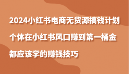 小红书电商无货源搞钱计划，个体在小红书风口赚到第一桶金应该学的赚钱技巧-颜夕资源网-第18张图片