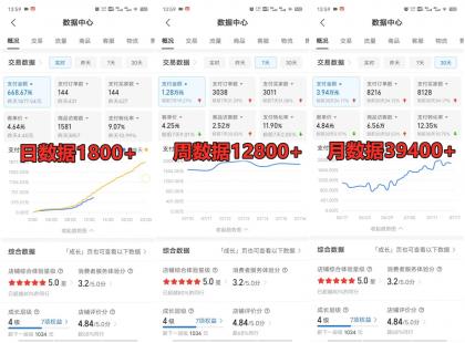 拼多多虚拟店铺项目，电脑挂机自动发货，单店日利润300+-颜夕资源网-第20张图片