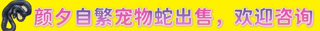 好图欣赏-水淼aqua - 梦见月瑞希-颜夕资源网-第13张图片